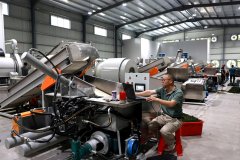 正在龙赞茶业的出产车间