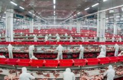 <b>配备AI红外智能挑拣机、X光异测仪等</b>