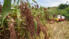 保守人工功课比拟